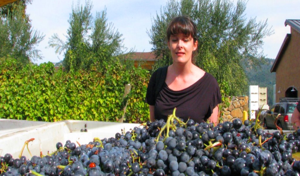 Anderson Valley Wine Trail in Mendocino County (10).JPG